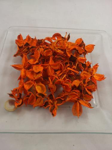 Cotton pods 40 gr. orange